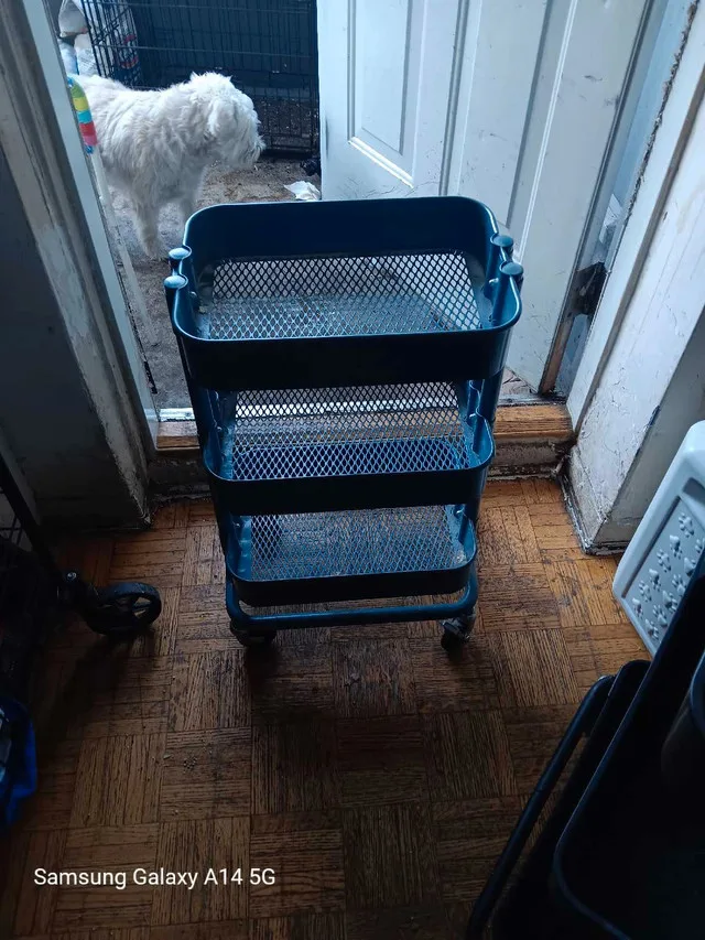 Rolling shelf cart -blue thumbnail