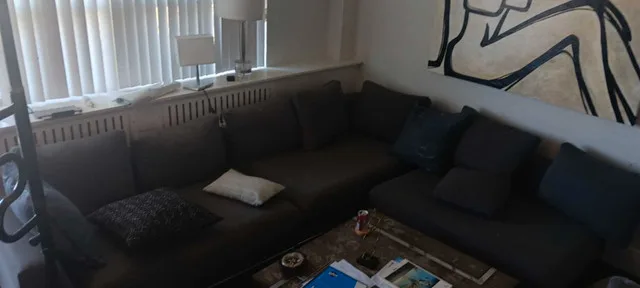 Sectional Couch thumbnail