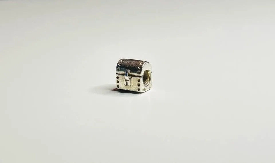 Pandora bracelet-7.9 inches image indicator(6)