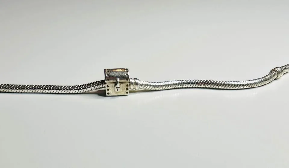 Pandora bracelet-7.9 inches image indicator(8)