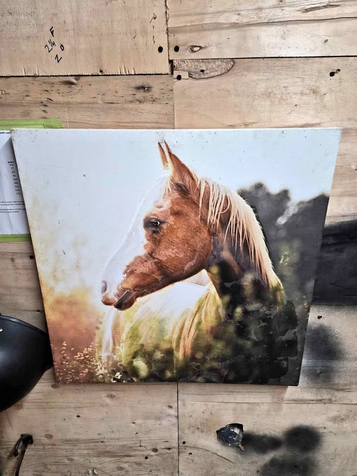Horse Canvas Wall Art Set