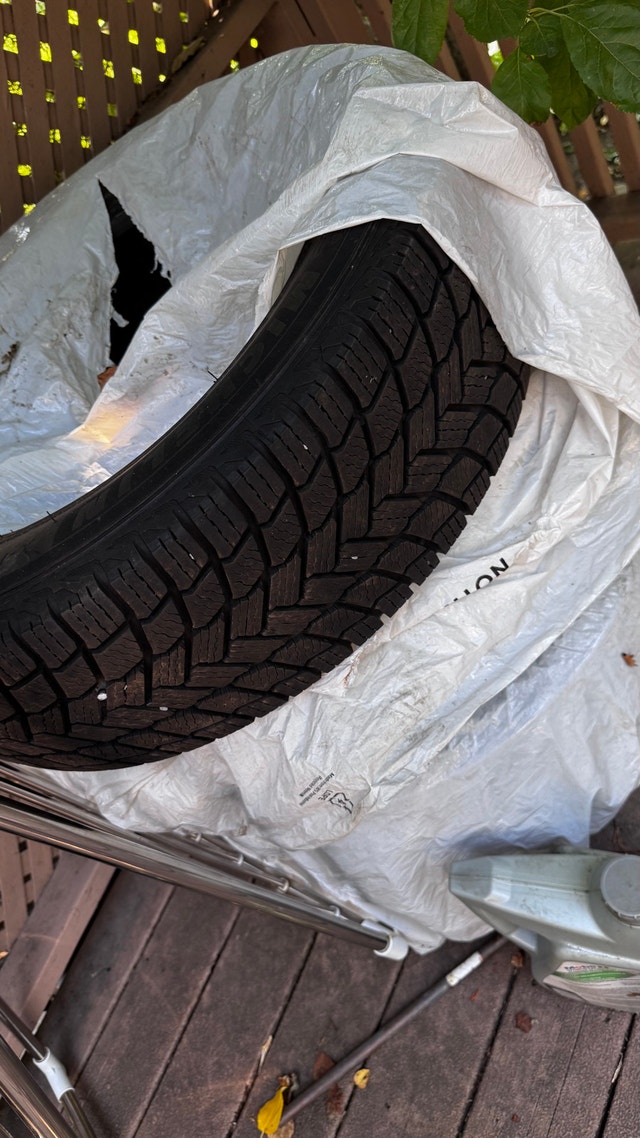 215/65/R17 Michelin X-Ice Snow 4 Tires - photo 5