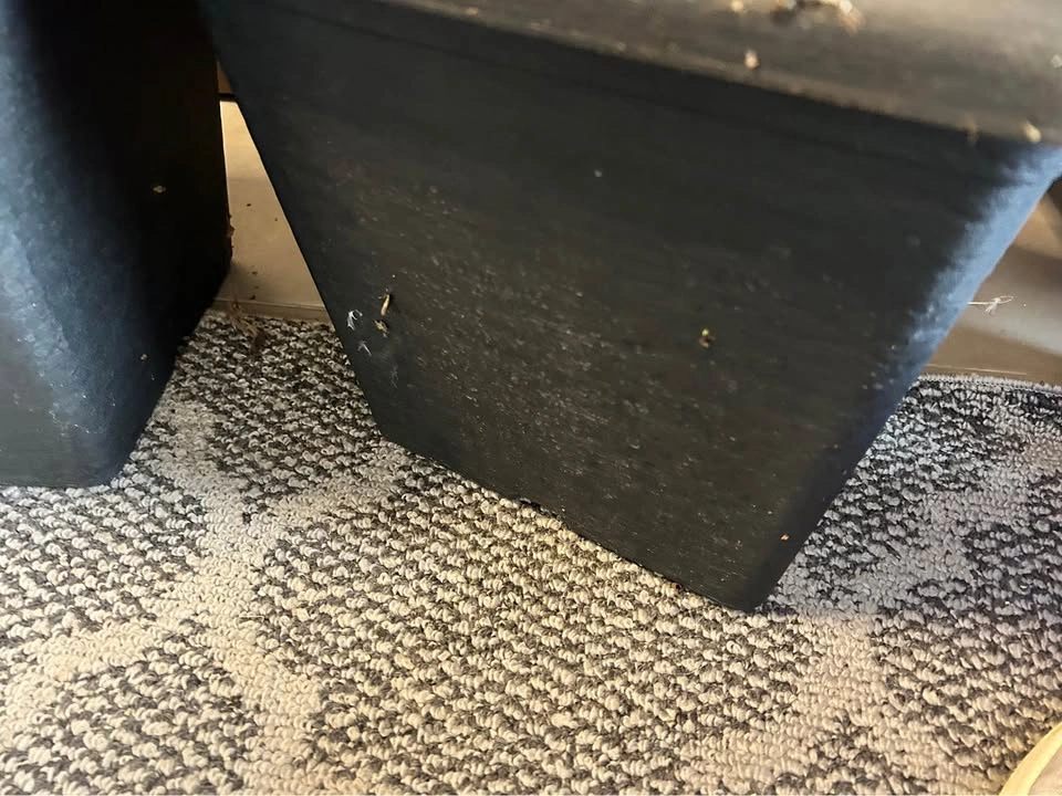4 Square Plastic Garden Planters 14x14x12” - photo 3