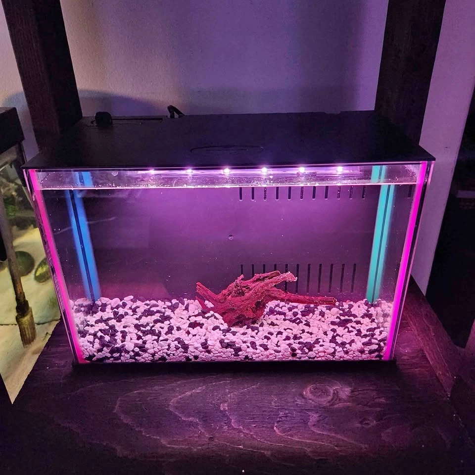 2 Small aquariums 2.5 gallons available - $65 each