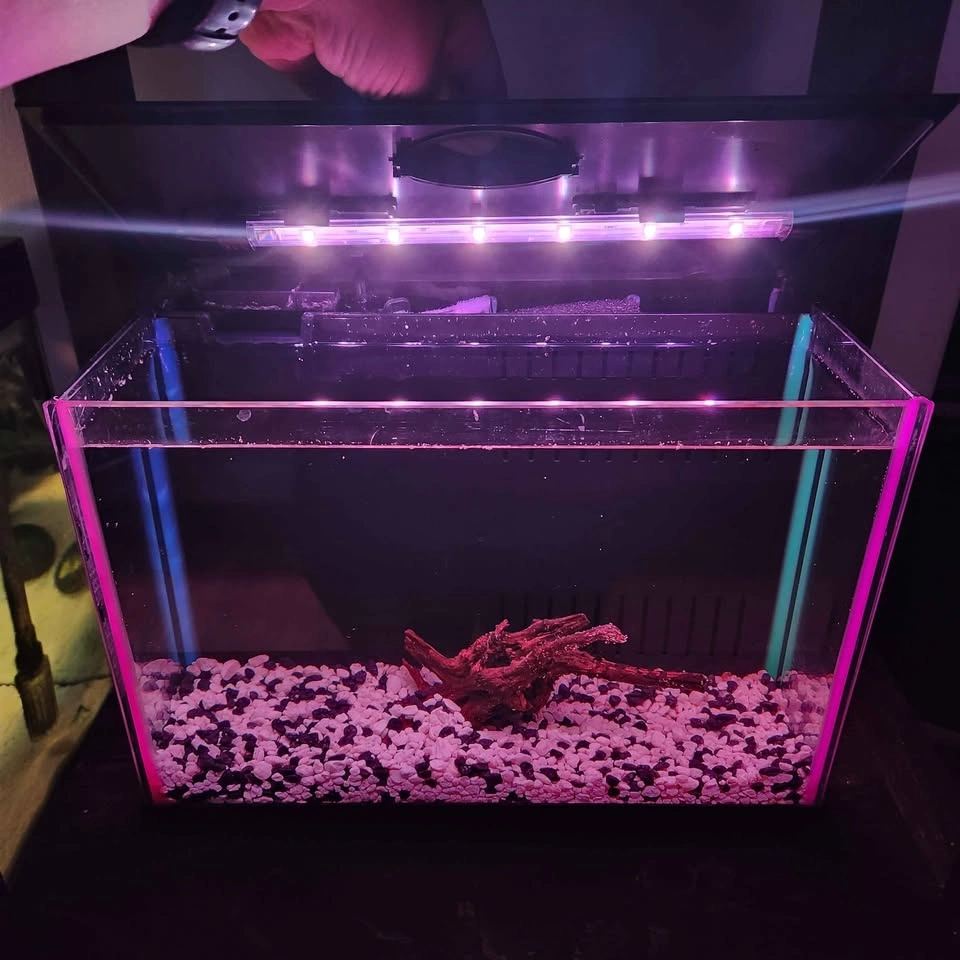 2 Small aquariums 2.5 gallons available - $65 each - photo 2