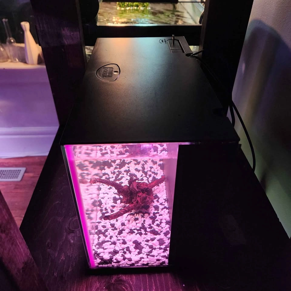 2 Small aquariums 2.5 gallons available - $65 each - photo 4