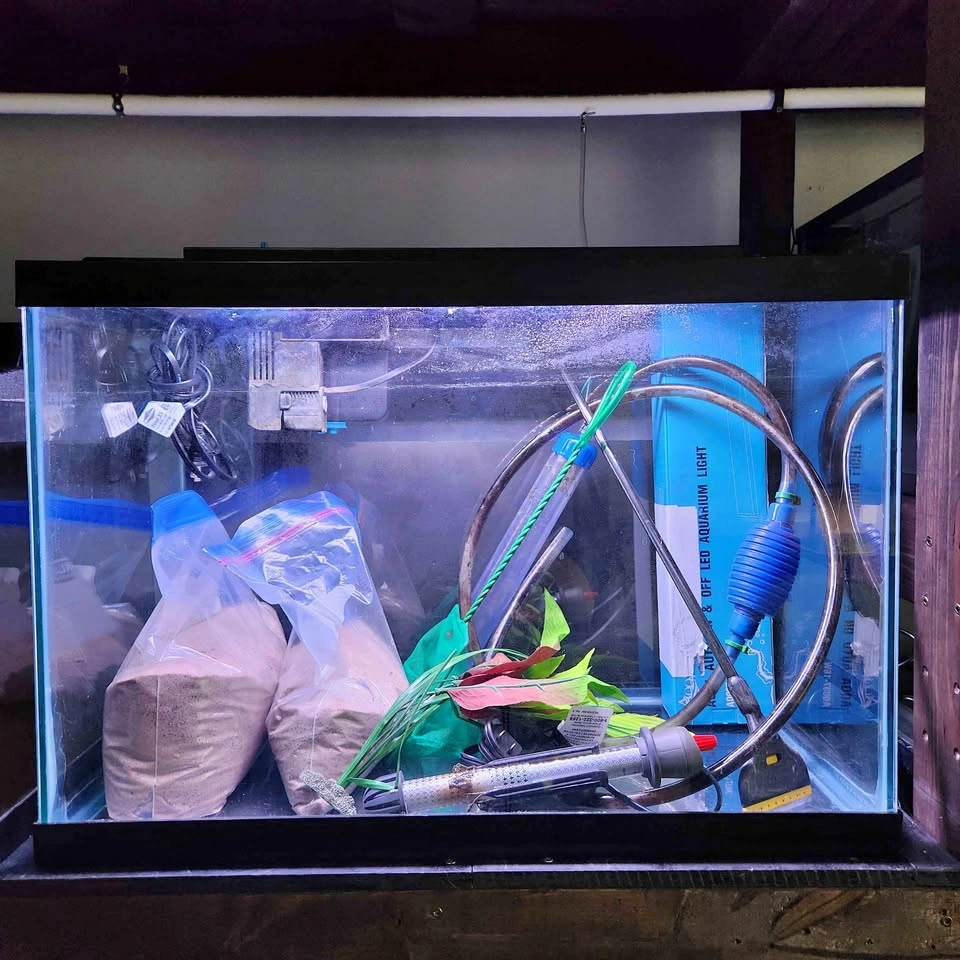 20 Gallon Aquarium with Programmable Light and Accessories