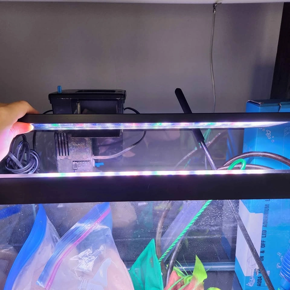 20 Gallon Aquarium with Programmable Light and Accessories - photo 2