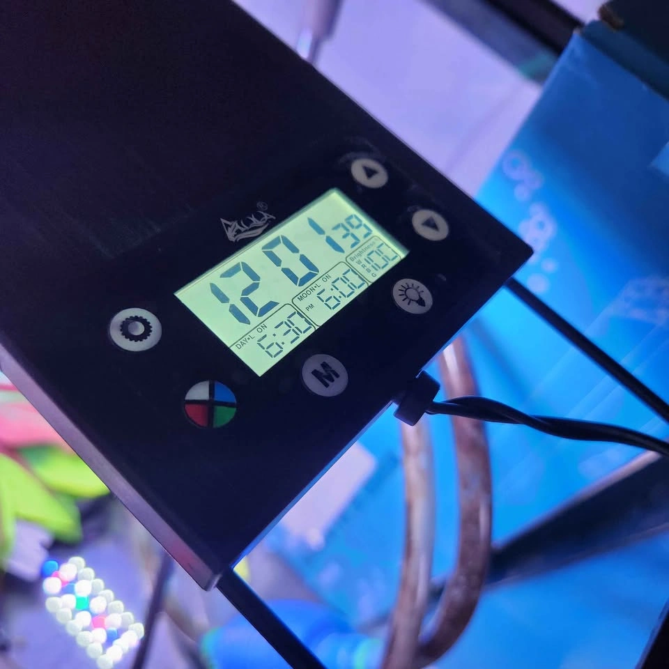 20 Gallon Aquarium with Programmable Light and Accessories - photo 3