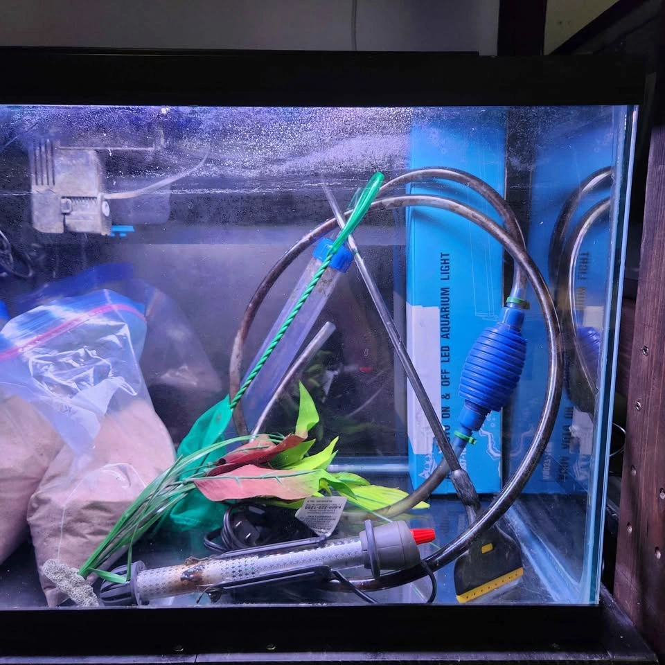 20 Gallon Aquarium with Programmable Light and Accessories - photo 4