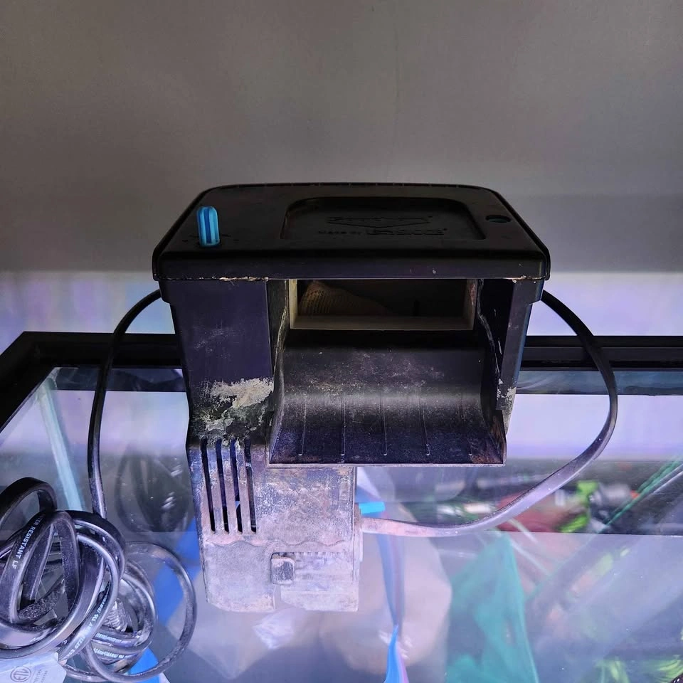 20 Gallon Aquarium with Programmable Light and Accessories - photo 5