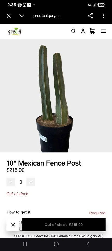 Fence post cactus - photo 2