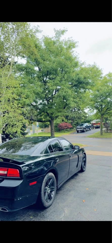 2014 Dodge Charger - photo 4