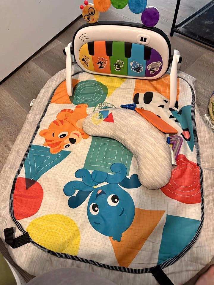 Baby Einstein music discovery gym