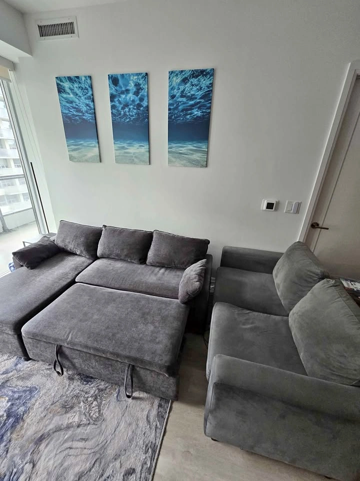 Grey Sectional Sleeper Sofa and Loveseat Set