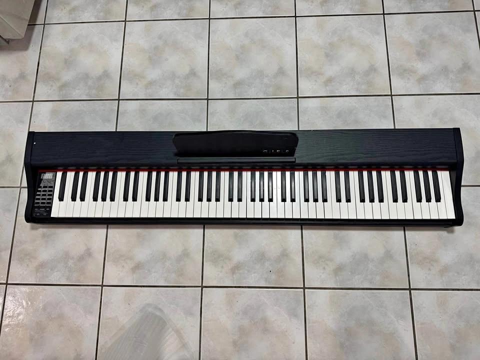 GILELS 88-Key Digital Piano – Power Adapter & Sustain Pedal
