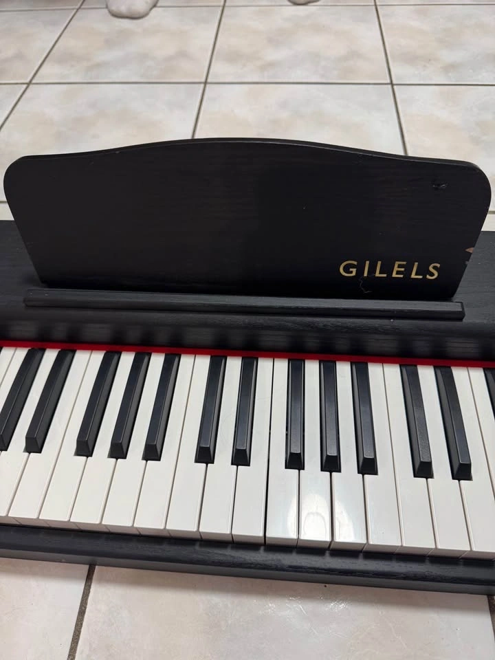GILELS 88-Key Digital Piano – Power Adapter & Sustain Pedal - photo 2