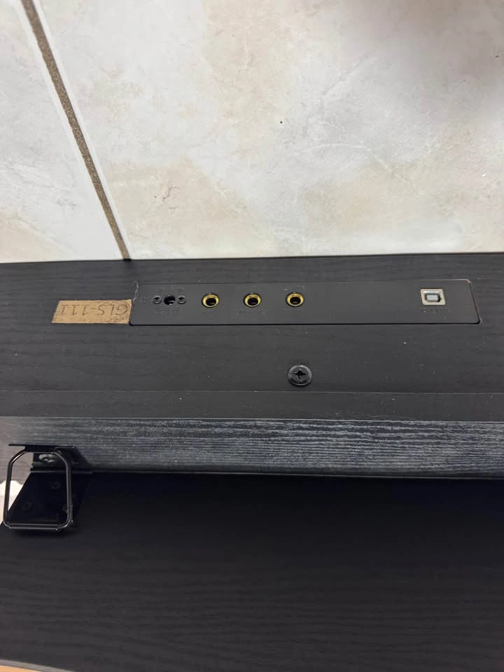 GILELS 88-Key Digital Piano – Power Adapter & Sustain Pedal - photo 3