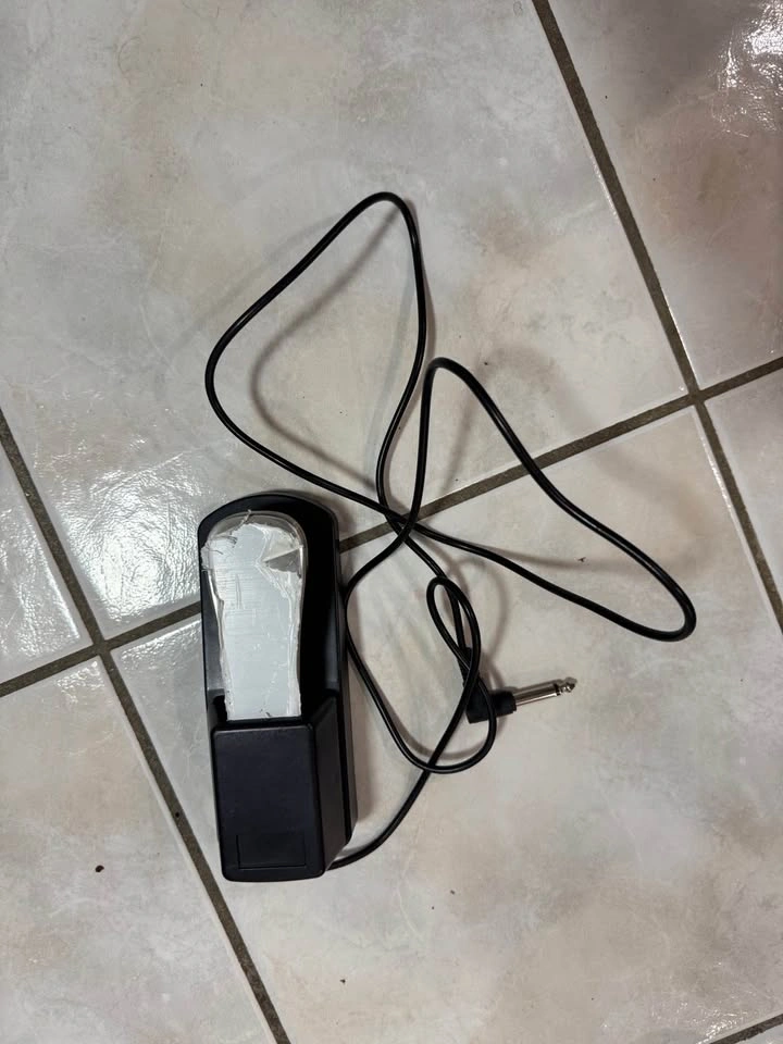 GILELS 88-Key Digital Piano – Power Adapter & Sustain Pedal - photo 5