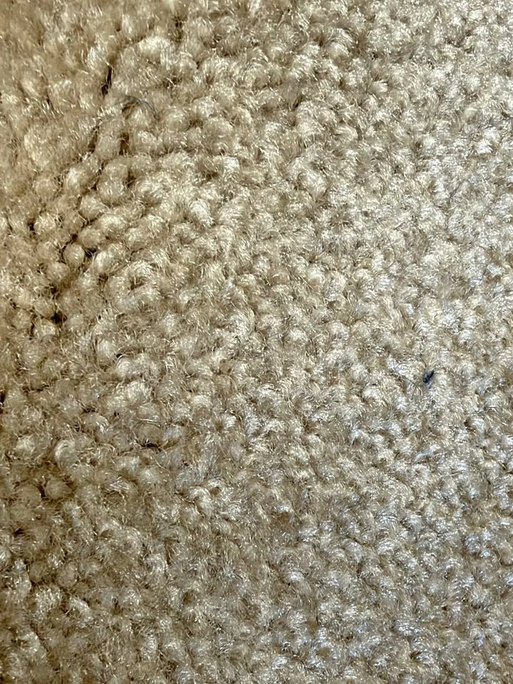 NEW Golden Beige Plush Carpet, 9 x 10 ft