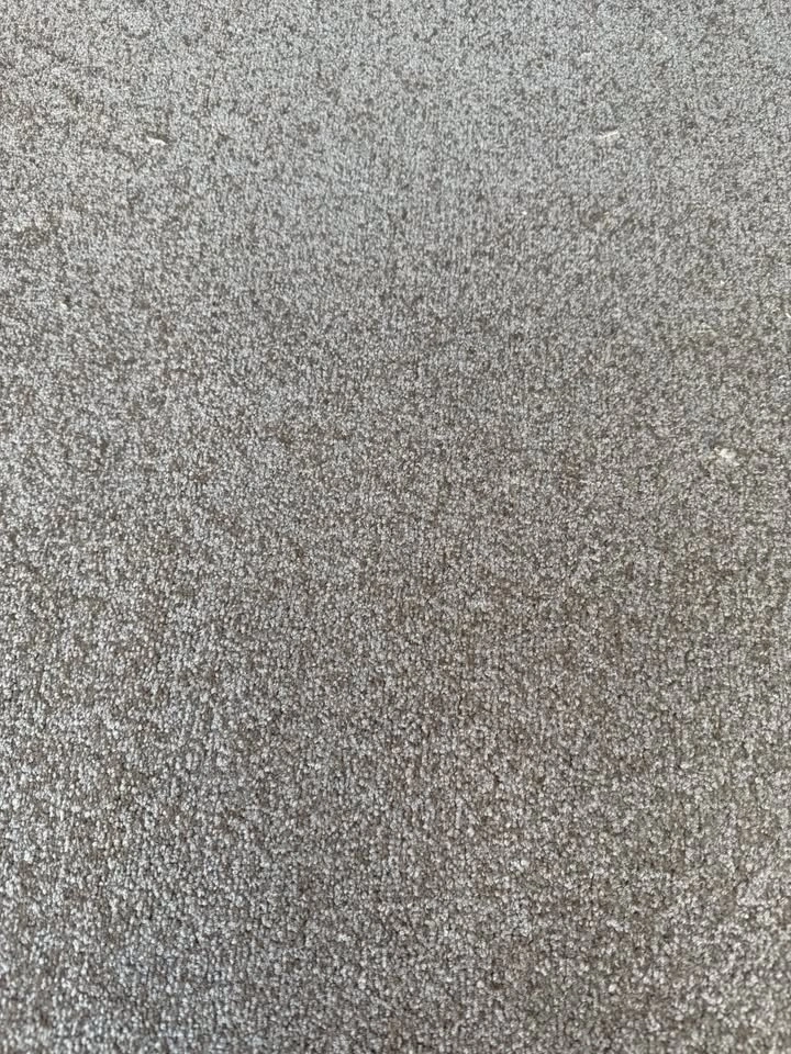 NEW Golden Beige Plush Carpet, 9 x 10 ft - photo 2