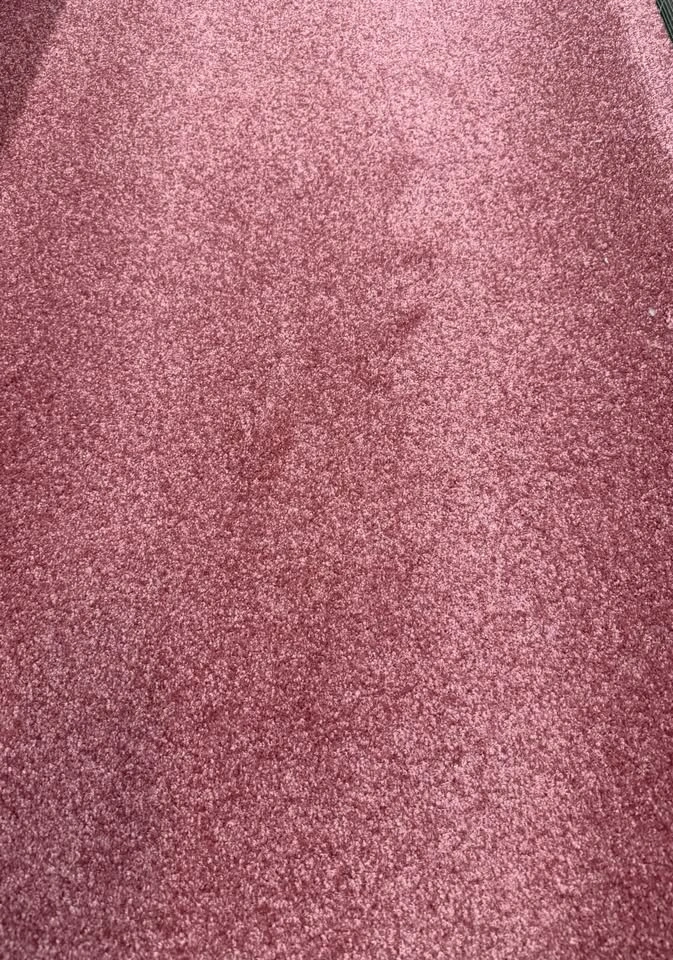 NEW Rose Pink Plush Carpet Roll, 12 x 30 ft (360 sq ft) - photo 3