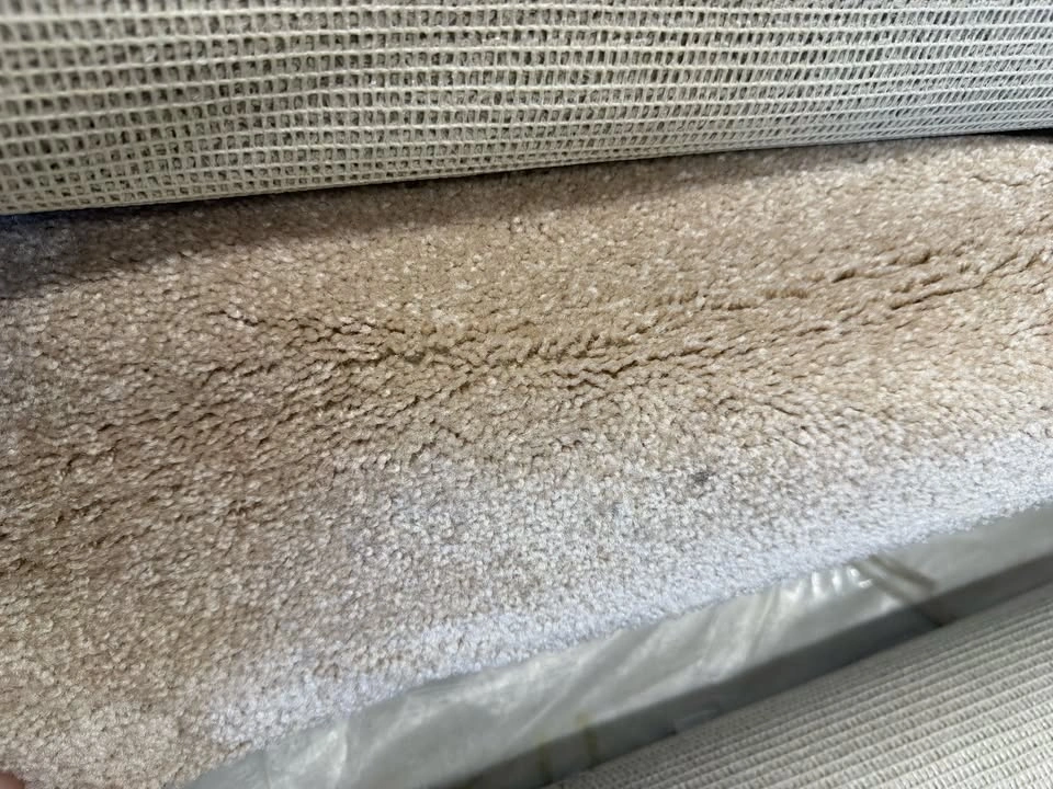 NEW Beige Plush Carpet, 8 ft 11 in x 10 ft, Soft Cut Pile - photo 2