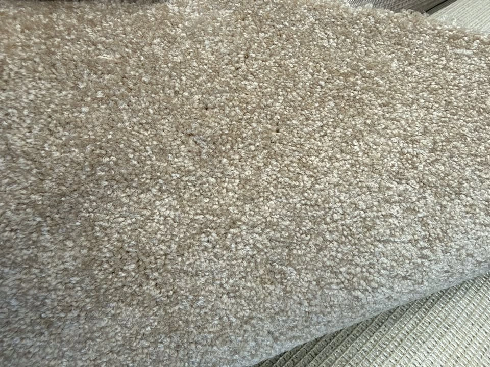 NEW Beige Plush Carpet, 8 ft 11 in x 10 ft, Soft Cut Pile - photo 3