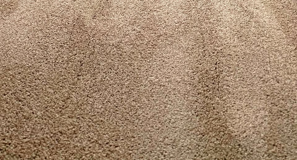 NEW Mushroom Plush Carpet, 8.5 x 12 ft, Soft Cut Pile Rug