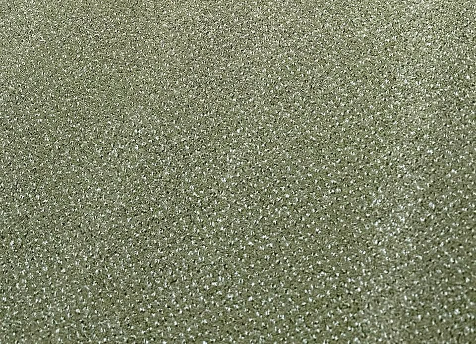 NEW Nylon Olive Green Carpet, 12 x 14 ft
