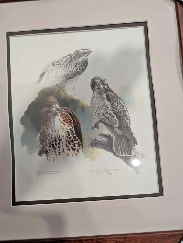 "Red-Tailed Hawk" by Canadian wildlife artist Michael Dumas