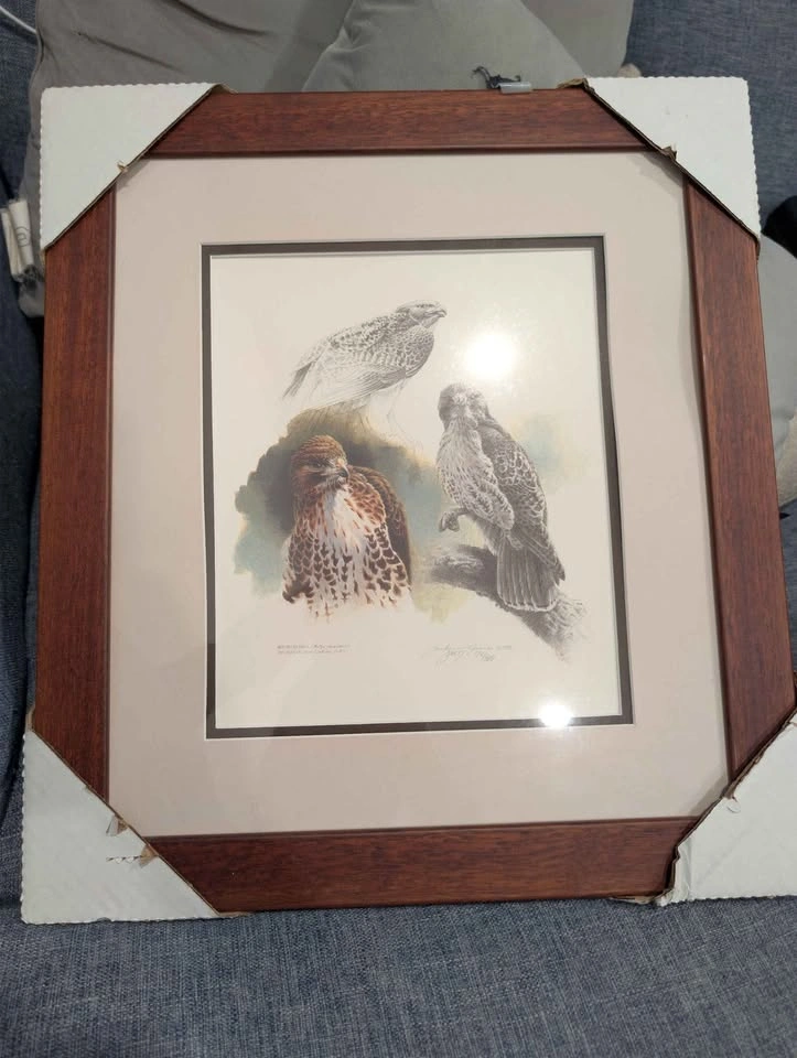 "Red-Tailed Hawk" by Canadian wildlife artist Michael Dumas - photo 2