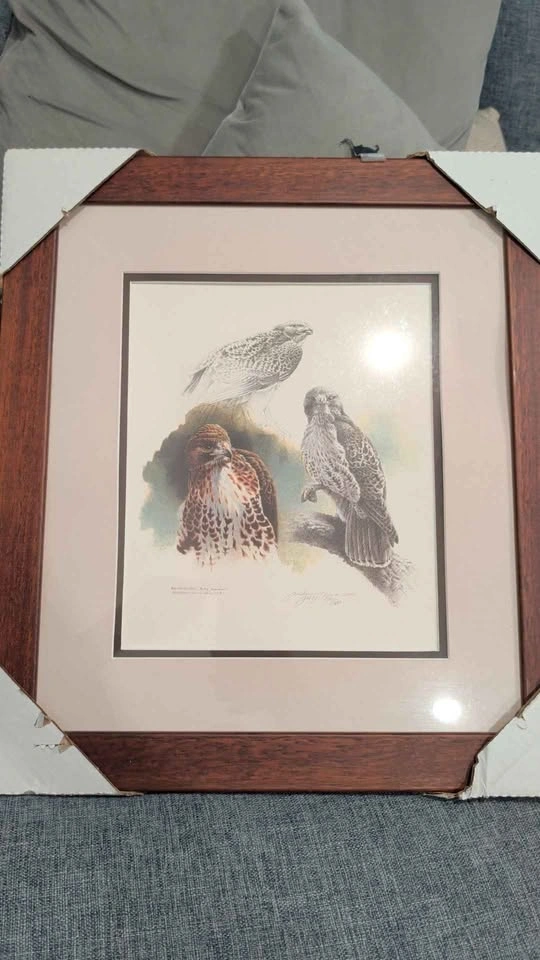 "Red-Tailed Hawk" by Canadian wildlife artist Michael Dumas - photo 3