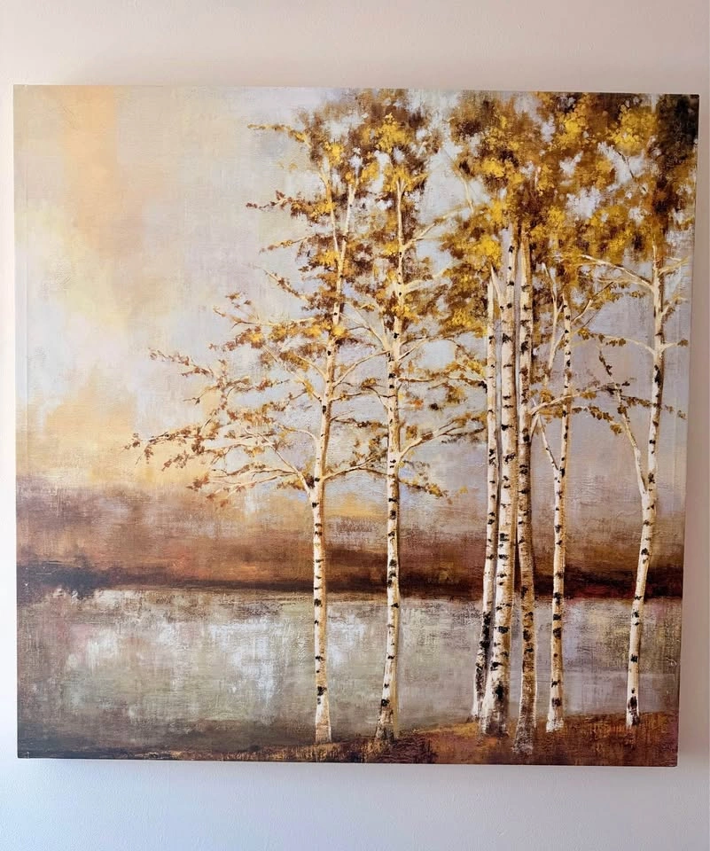 Beautiful Birch Tree Canvas Wall Art – 39” x 39”