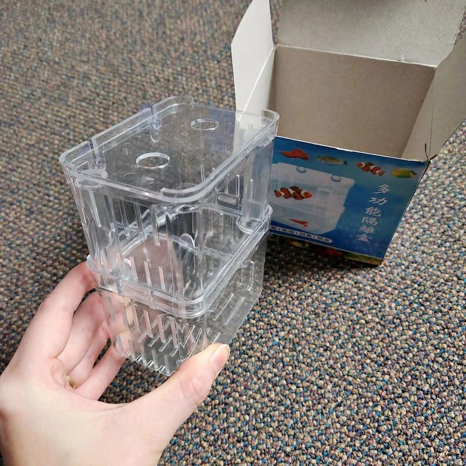 Fish Breeding Box for Fish Fry or Isolation, 2 Available