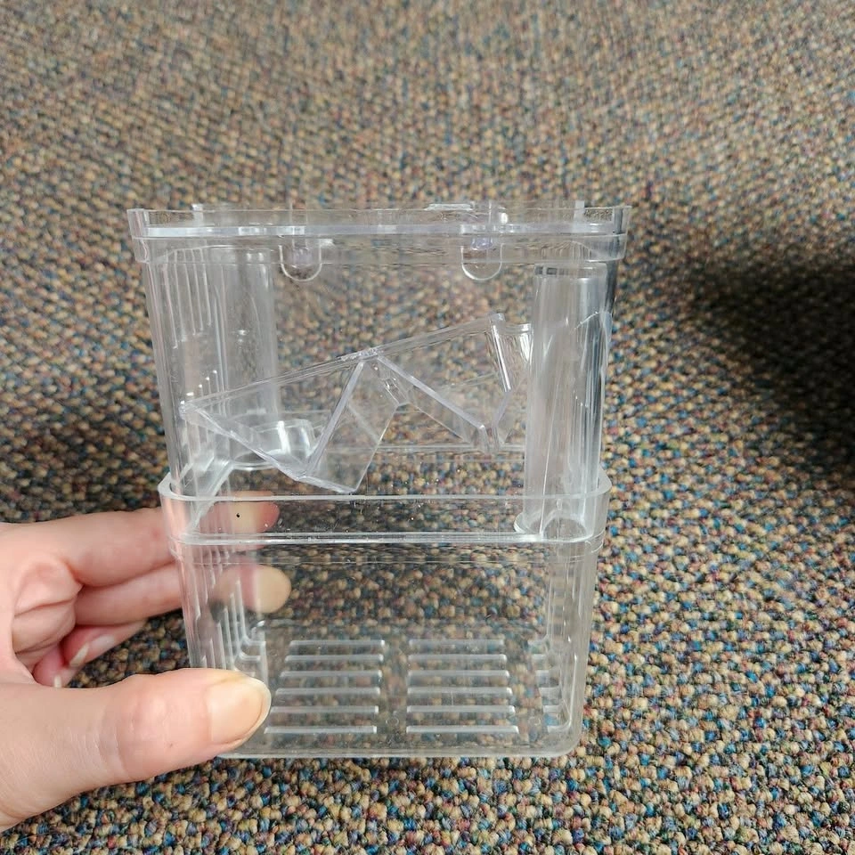 Fish Breeding Box for Fish Fry or Isolation, 2 Available - photo 2