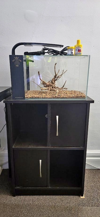 Almost New 7 Gal Tank With Furniture Piece & Accessories