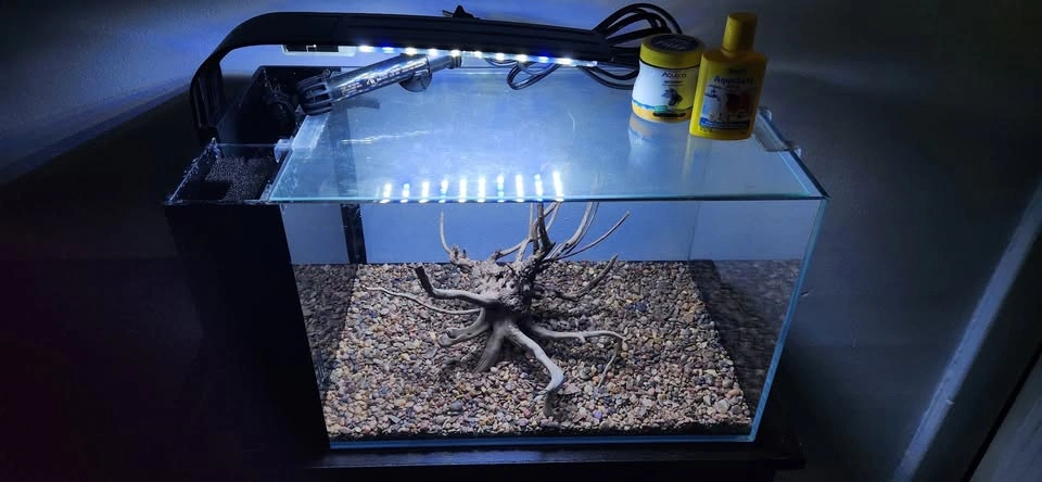 Almost New 7 Gal Tank With Furniture Piece & Accessories - photo 2
