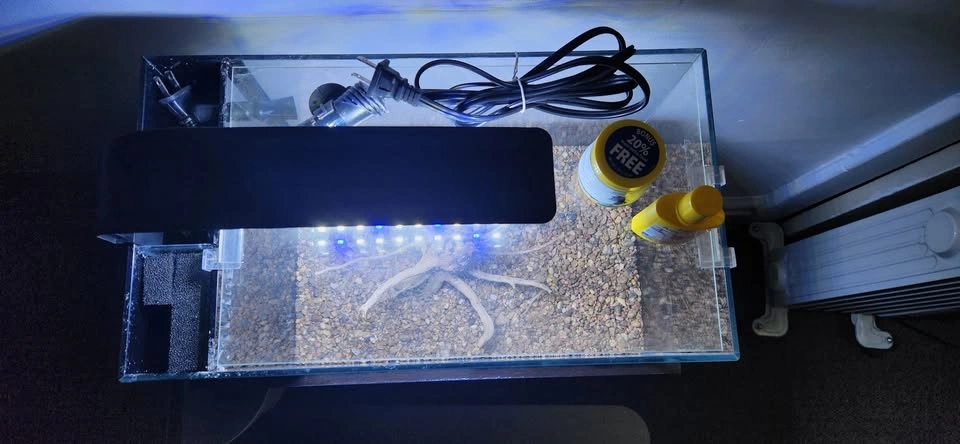 Almost New 7 Gal Tank With Furniture Piece & Accessories - photo 3