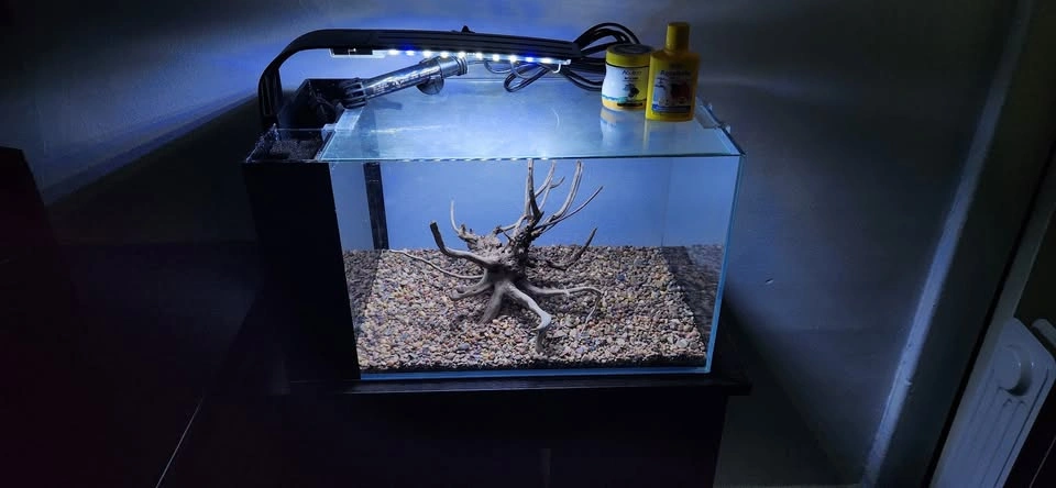 Almost New 7 Gal Tank With Furniture Piece & Accessories - photo 4