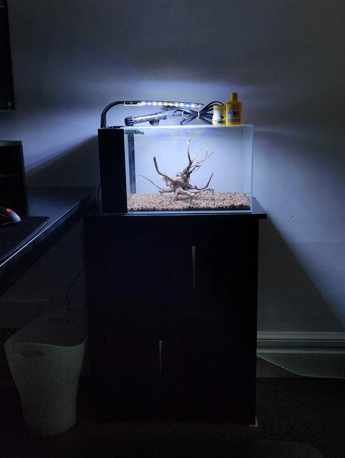 Almost New 7 Gal Tank With Furniture Piece & Accessories - photo 5