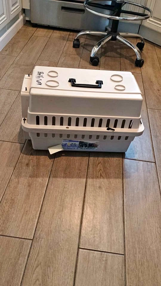 Pet carrier for cat or dog up to 10 lbs