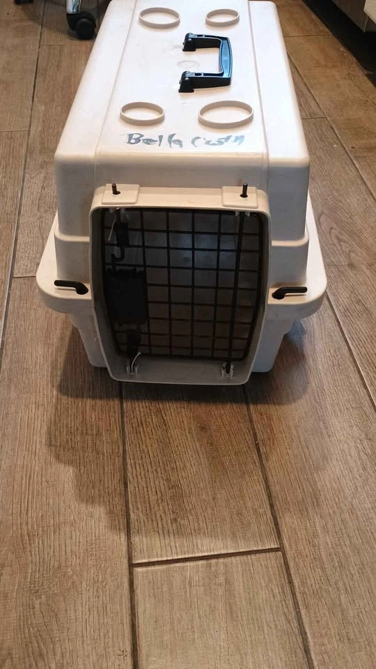 Pet carrier for cat or dog up to 10 lbs - photo 3