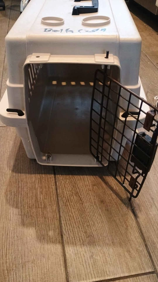 Pet carrier for cat or dog up to 10 lbs - photo 4