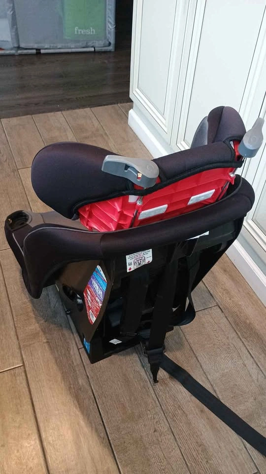 Safety 1st Grow and Go All-in-One Convertible Car Seat - photo 4