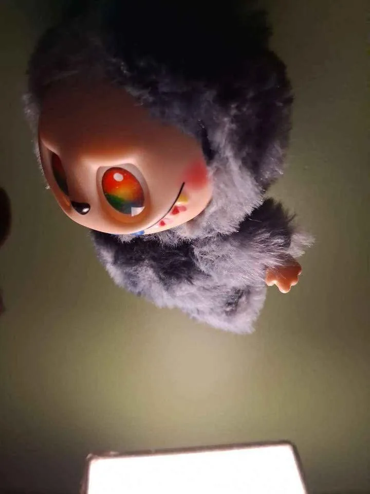 Labubu image indicator(4)