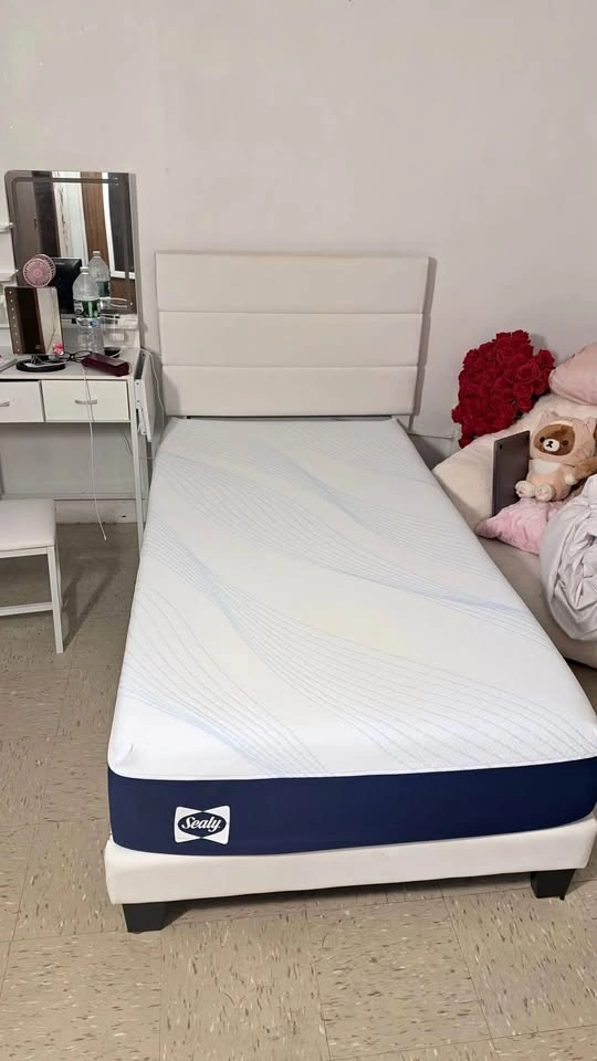 Sealy Twin Mattress