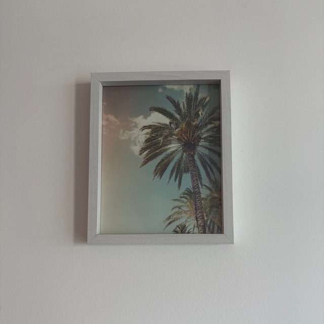 Palm Tree Framed Wall Art
