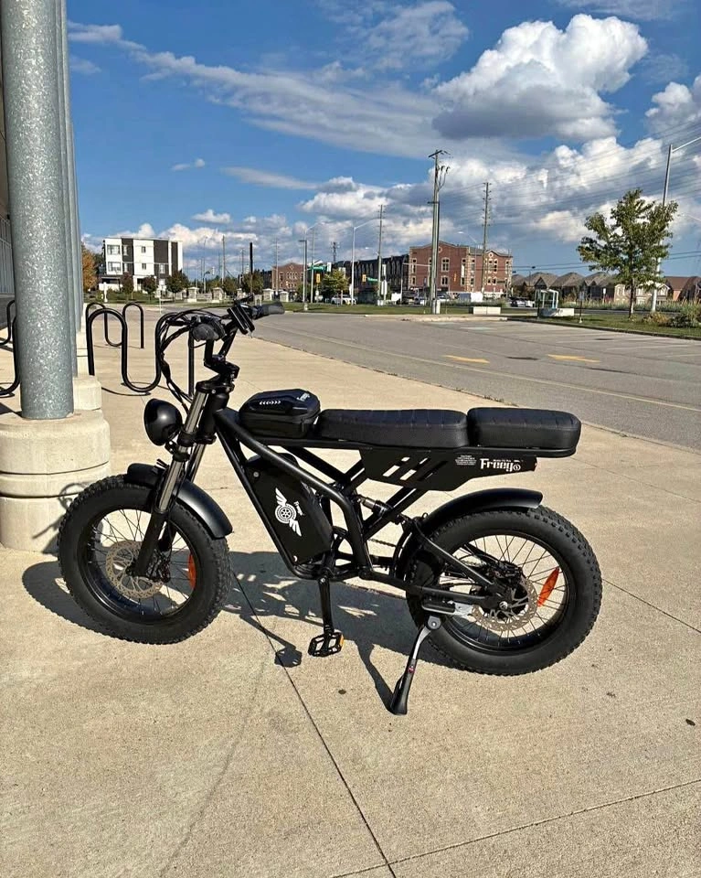 Freego Electric Bike