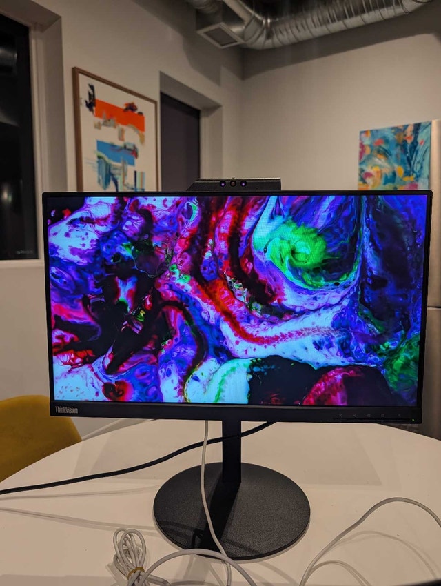 Lenovo IPS Monitor with Webcam Speakers Mic